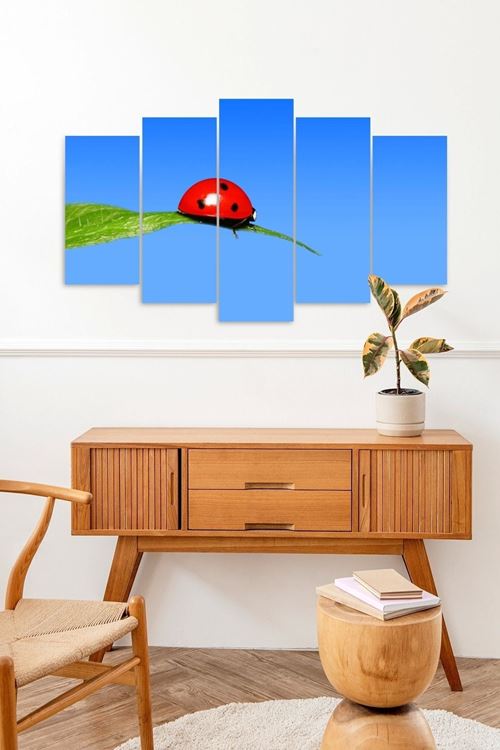 Ateşböceği 5 Parçalı Mdf Tablo 60 x 100