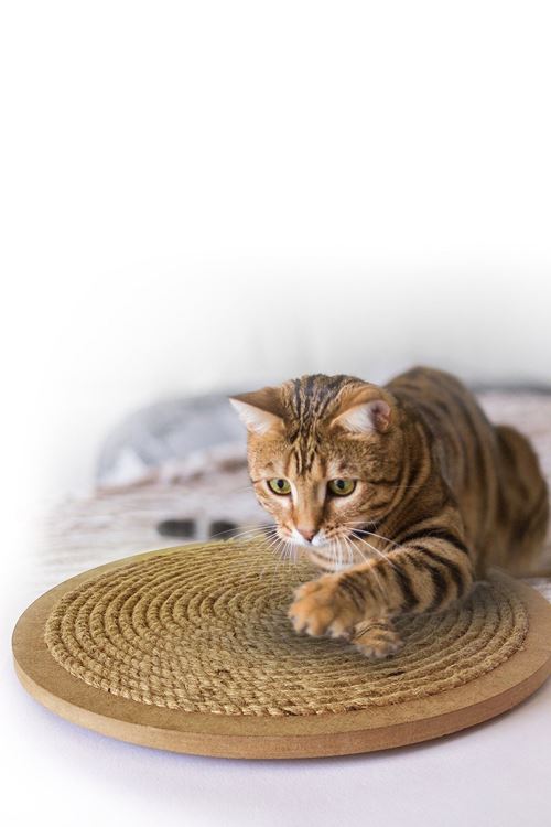 Yuvarlak Vantuzlu Kedi Tırmalama Tahtası