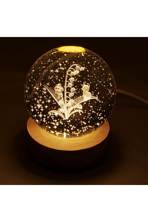 Kedi Ve Çiçek Motifli Cam Küre