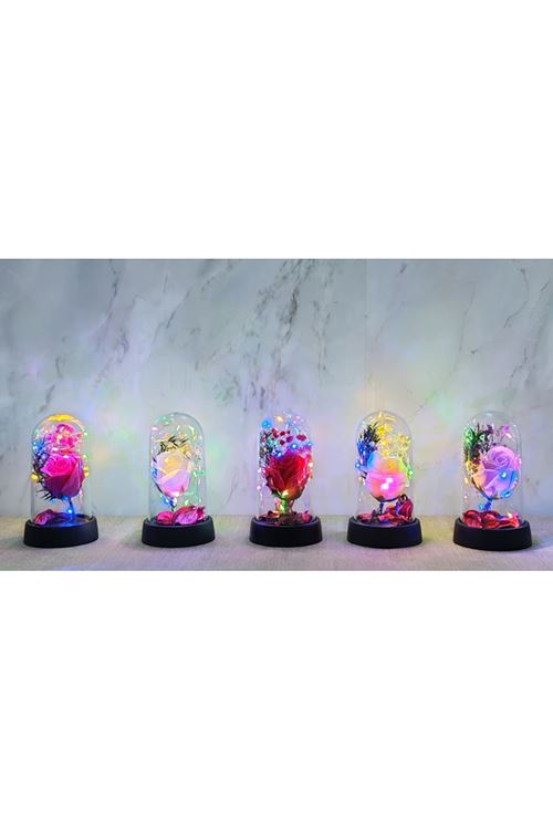 Işıklı Müzikli Romantik Büyük Gül