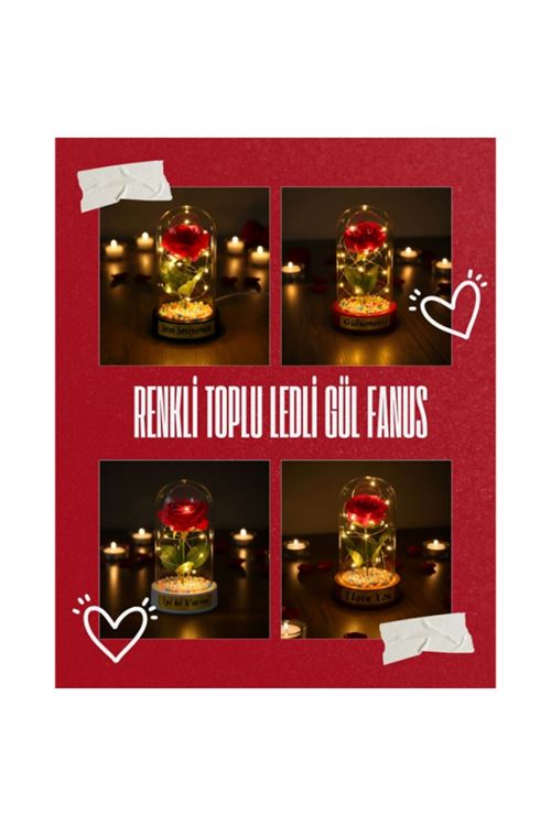 Renkli Toplu Ledli Gül Fanus