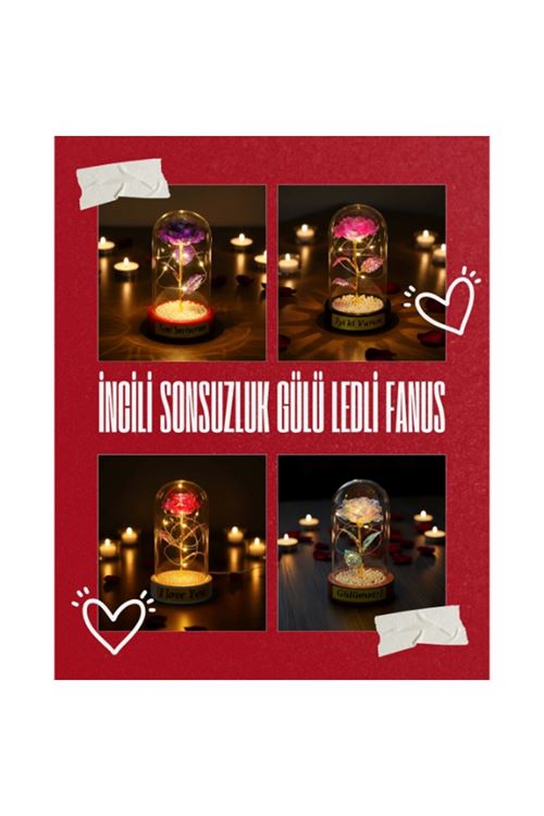 İncili Sonsuzluk Gülü Ledli Fanus