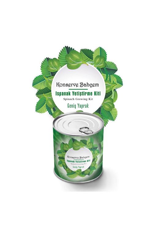 TBL Dekor® Konserve Bahçem Evde Konservede Kolay Ispanak Yetiştirme Kiti