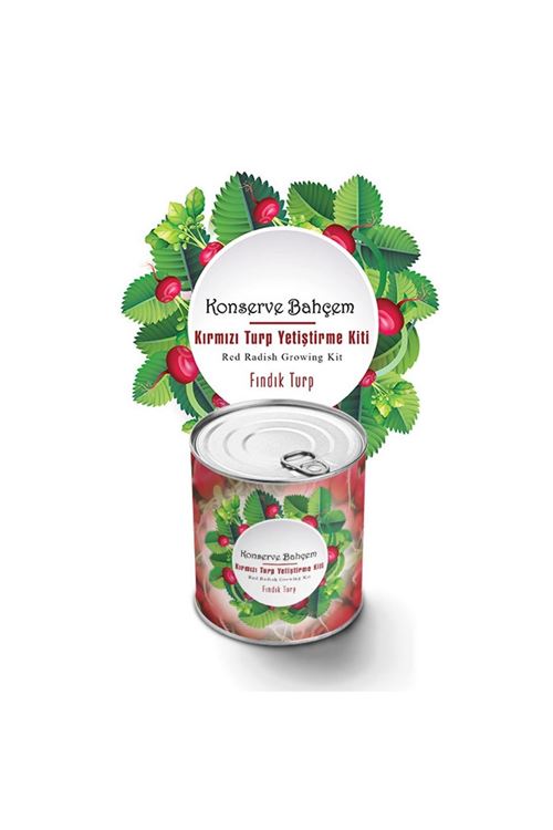 TBL Dekor® Konserve Bahçem Evde Konservede Fındık Turp Yetiştirme Kiti