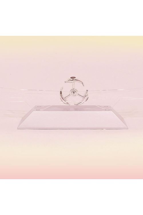 TBL Dekor® Dekoratif Masa Üstü Obje Manyetik Kinetik Orbital Dönen Yunuslar