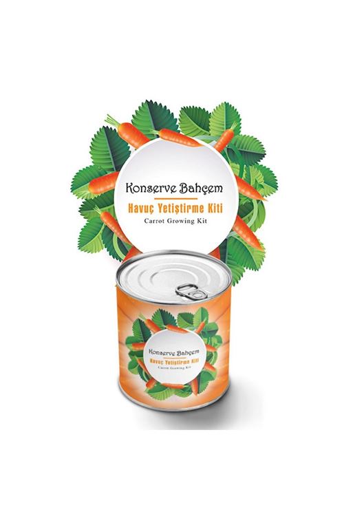TBL Dekor® Konserve Bahçem Evde Konservede Havuç Yetiştirme Büyütme Kiti