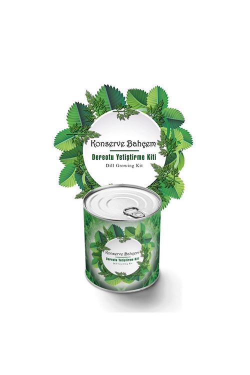 TBL Dekor® Konserve Bahçem Evde Konservede Dereotu Yetiştirme Kiti Aparatı