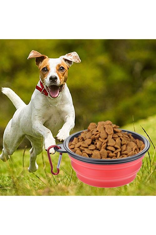 TBL Dekor® Katlanabilir Kedi Köpek Mama ve Su Kabı Köpek Oyuncağı