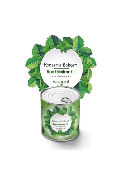 TBL Dekor® Konserve Bahçem Nane Yetiştirme Kiti
