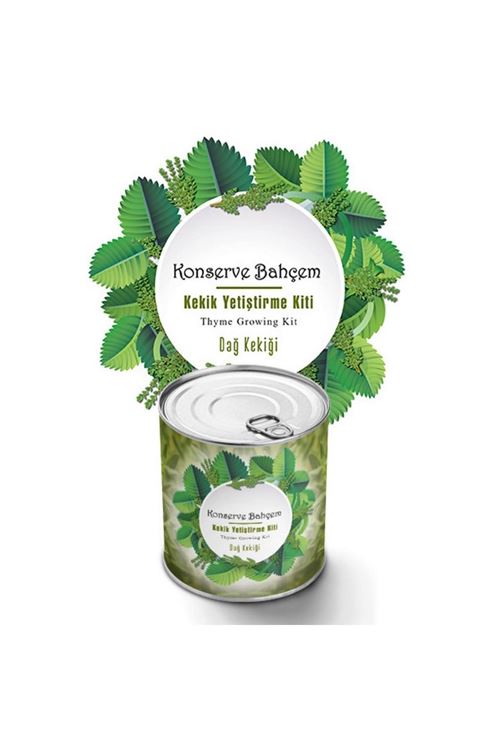TBL Dekor® Konserve Bahçem Evde Konservede Kekik Dağ Kekiği Yetiştirme Kiti