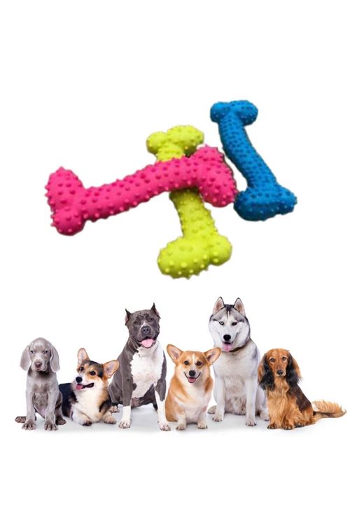 TBL Dekor® Tiny Kemik Oyuncağı Tırtıklı Yüzey Küçük Kemik Plastik Köpek Oyuncağı
