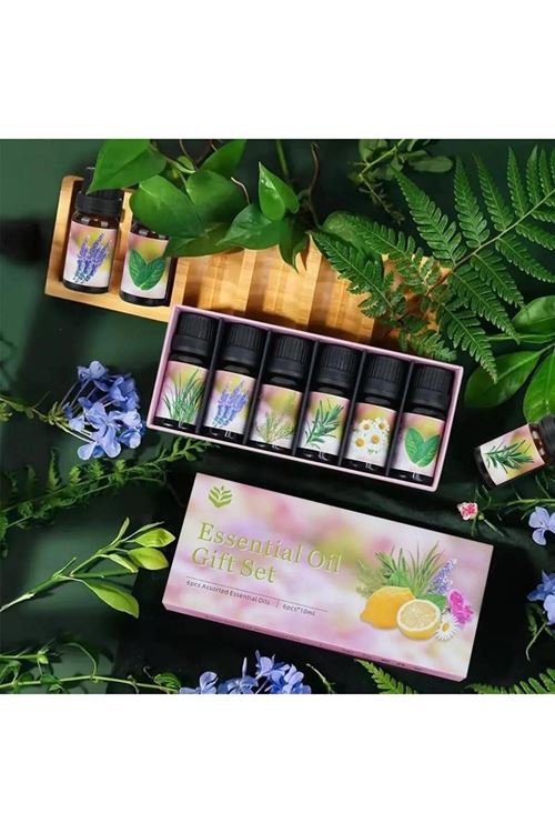 6'lı Ekonomi karışık SET Esansiyel Uçucu Yağı Buhardanlık Difüzör Esansı Oda Kokusu