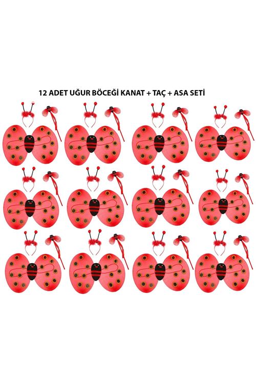 Uğur Böceği Kostüm Seti - Kanat, Taç, Asa 12 Adet
