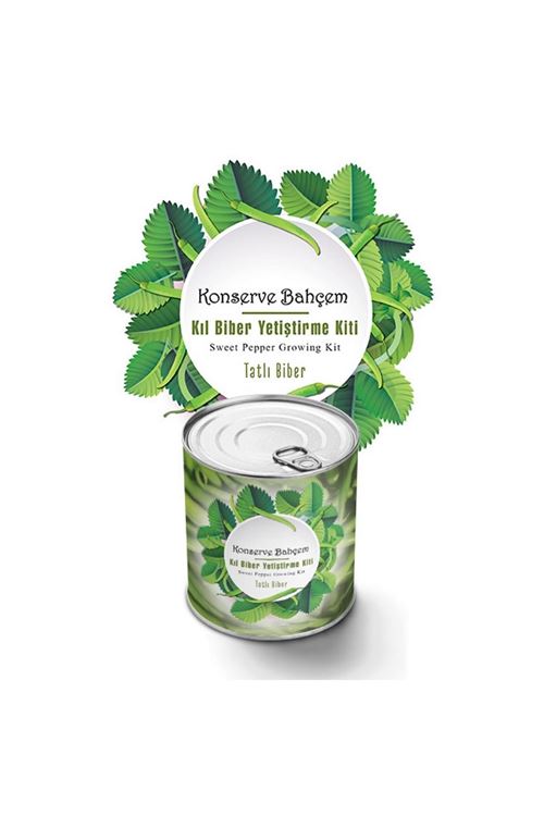 TBL Dekor® Konserve Bahçem Evde Konservede Tatlı Sivri Biber Yetiştirme Kiti