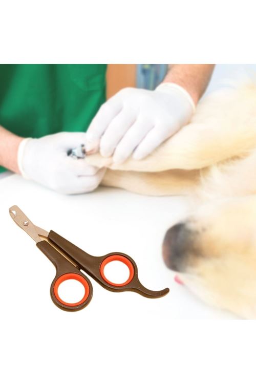 TBL Dekor Küçük Çelik Uçlu Kedi Köpek Evcil Hayvan Tırnak Makası Pati Bakım Aleti Ergonomik Kaymaz Sap