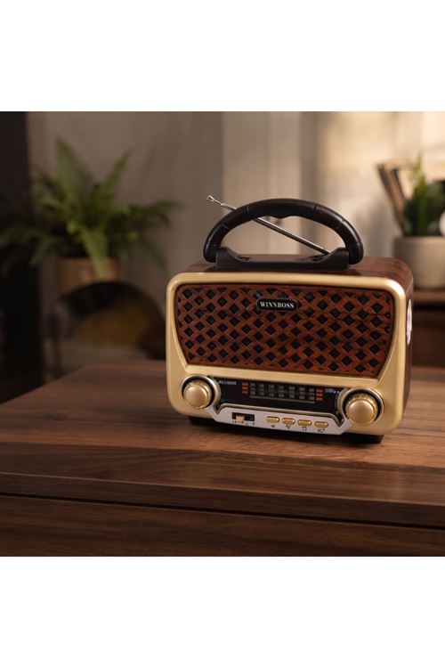 Nostalji Müzik Kutusu - Solar Panelli - Şarjlı - AUX Girişi - LED Fener - Bluetooth