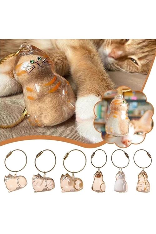 Kedi Şeffaf Anı Anahtarlığı - Kedi Figürlü - Karışık Model