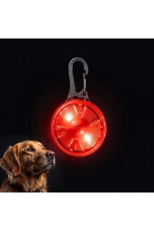 Evcil Hayvan Işıklı LED Tasma Aparatı - Suya Dayanıklı - Uzun Pil Ömrü
