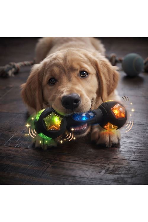 Kemik Tasarımlı Köpek Isırma Oyuncağı - Sesli - Işıklı