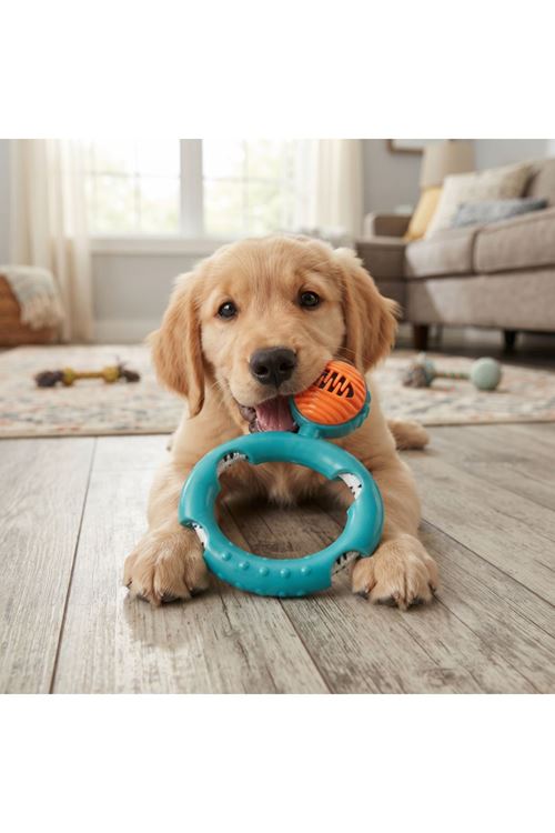 Halatlı Disk Köpek Isırma Oyuncağı - Mama Ödüllü Mekanizma