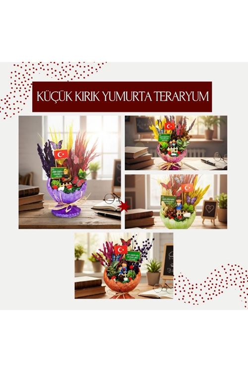 Küçük Kırık Yumurta Teraryum - Öğretmenler Günü Hediyesi