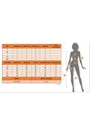 Kadın Kolsuz V Yakalı Düğmeli Atlas Yelek Ve şort Ikili Takım