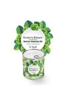 TBL Dekor® Konserve Bahçem Evde Konservede İri Yapraklı Kıvırcık Yetiştirme Kiti
