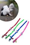 TBL Dekor® Çıngıraklı Zilli Sevimli Renkli Slikon Kedi Köpek Boyun Tasması