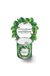 TBL Dekor® Konserve Bahçem Evde Konservede Dereotu Yetiştirme Kiti Aparatı
