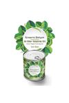 TBL Dekor® Konserve Bahçem Evde Konservede Tatlı Sivri Biber Yetiştirme Kiti