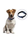 TBL Dekor® Yumuşak Dokulu Deri Köpek Gezdirme Boyun Tasması (Large)