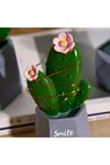 TBL Dekor® Led Işıklı Kaktüs Biblo Ev Dekorasyon ve Hediyelik Eşya Led Aydınlatma