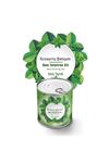 TBL Dekor® Konserve Bahçem Nane Yetiştirme Kiti