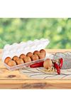 TBL Dekor® 12li Şeffaf Kapaklı Kilitli Yumurta Saklama Kabı Kutusu Aparatı