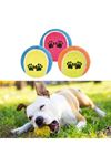 TBL Dekor®  3lü Renkli Desenli Tenis Topu Kedi Köpek Oyuncağı