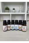 6’lı Esans Yağ Seti – Difüzör, Oda Kokusu, Mum ve Sabun Yapımına Uygun