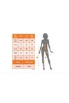 Kadın Yüksek Bel önden Fermuarlı Belden Kuşaklı önden Yırtmaçlı Inci Detaylı Deri Pantolon
